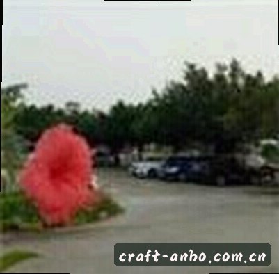李强